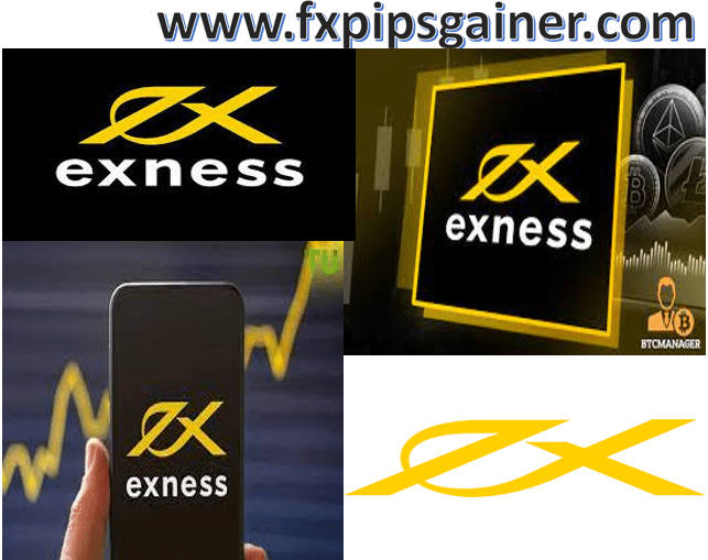 Halal Forex Account On Exness Navigating Islamic Trading Principles Halal Forex Account On Exness Navigating Islamic Trading Principles