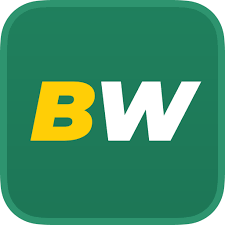 Découvrez le monde de betwinner  paris sportifs et jeux en ligne