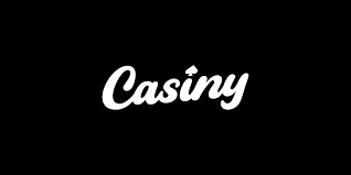 Explore the Thrills of Casiny Casino